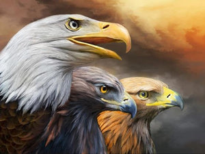 Diamond Painting - 3 Eagle Heads - 40cm x 50cm Square Bead Only