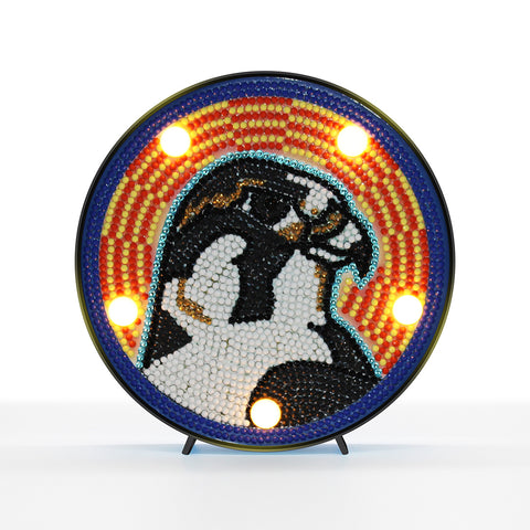 Diamond Painting LED Light - Falcon