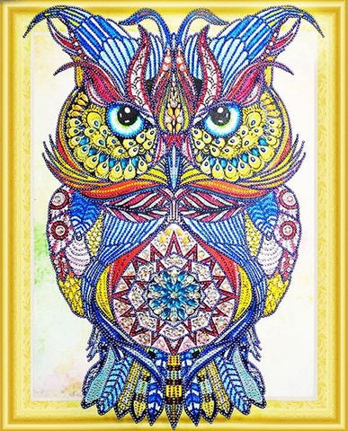 Special Shape Diamond Paintings - Owl - 40cm x 50cm